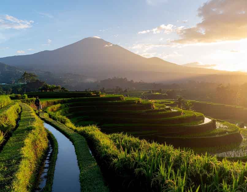 Balinese rice terraces at Jatiluwih with a distant volcano and a farmer at sunrise.
