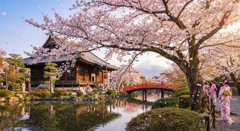 Sakura in Japan